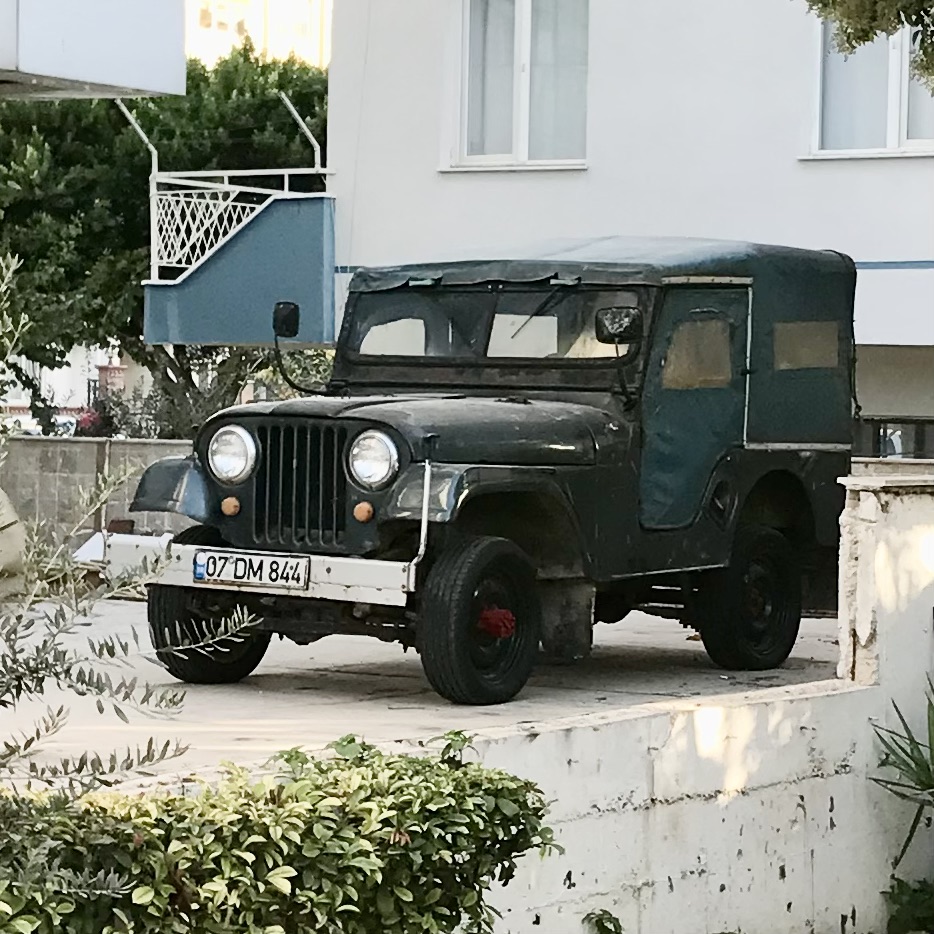 Willys M38M1 (Jeep Willys M38M1) (1952)